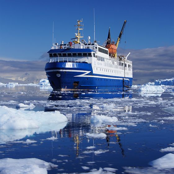 ocean nova   quark