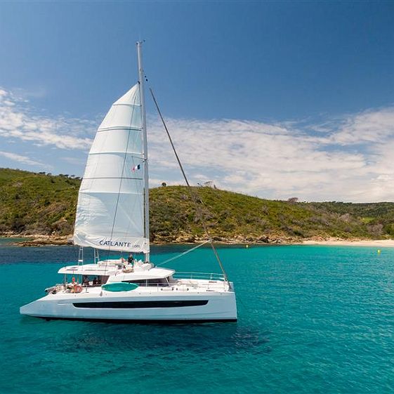 catlante 620