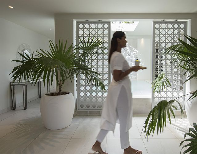 Royal Palm beachcomber
