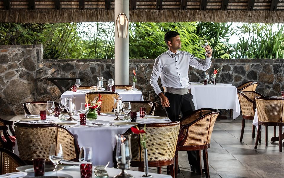Royal palm beachcomber
