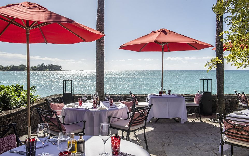 Royal palm beachcomber