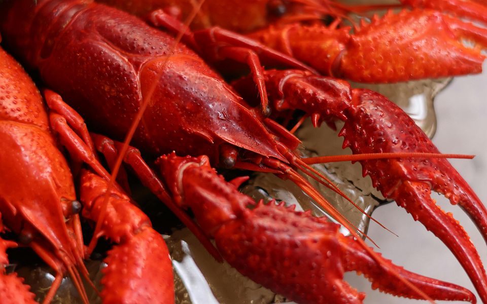 Homard