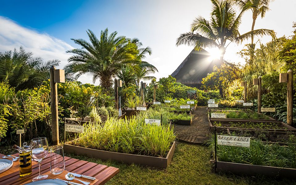 Oberoi Beach Resort Mauritius - Restaurant - île Maurice