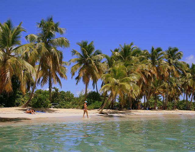 La plage des salines à la Martinique