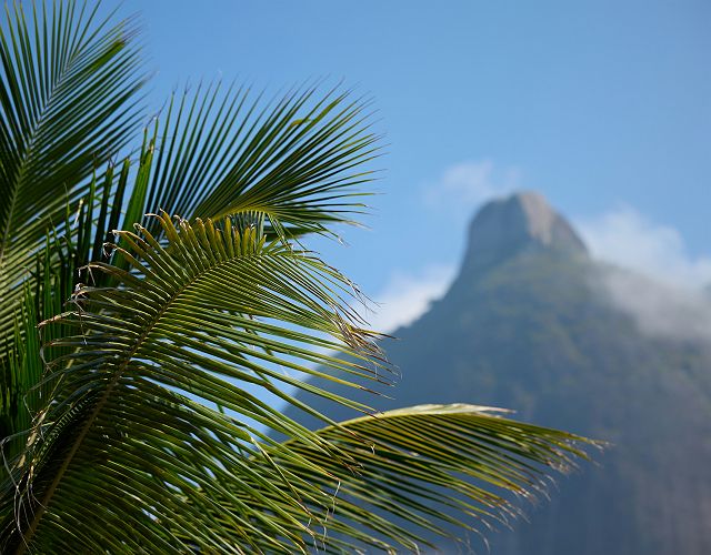 Veranda Tamarin - Expériences - île Maurice