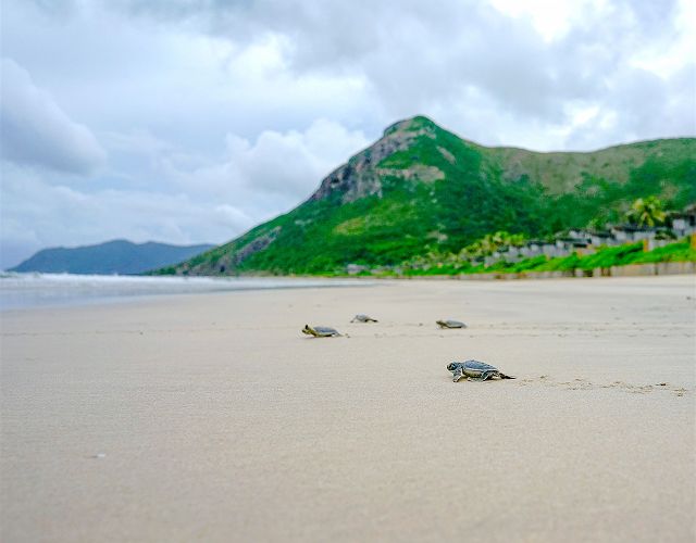 Six Senses Con Dao - Expériences - Vietnam