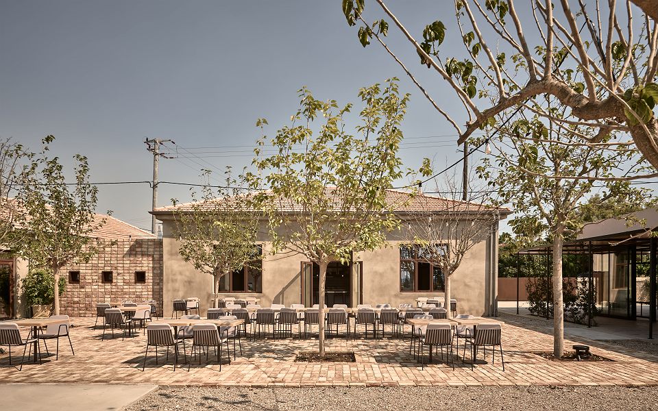 Dexamenes Seaside Hotel - Restaurant - Grèce                         