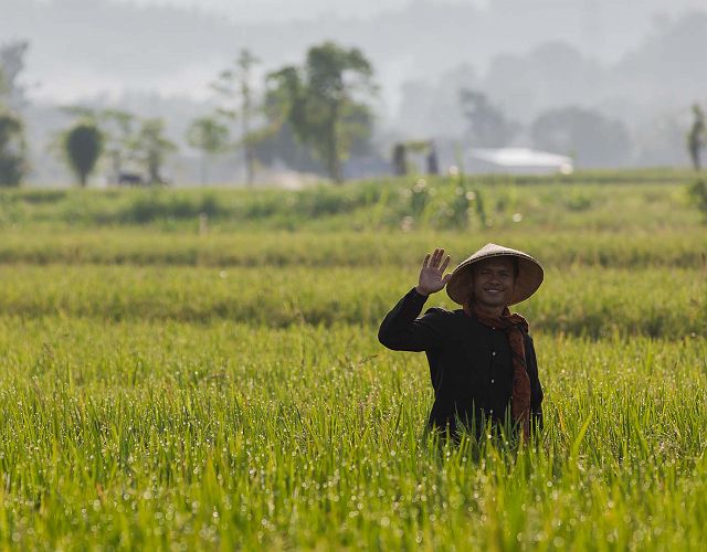 The Lombok Lodge - Expériences - Indonésie 