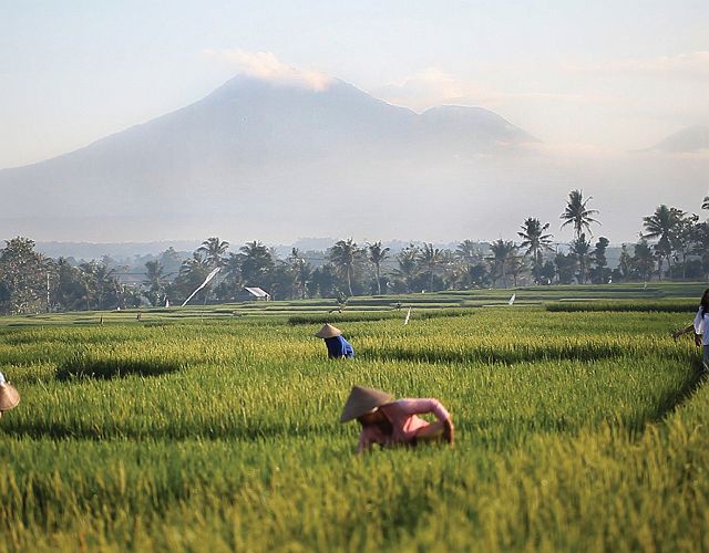 Soori bali - Expériences - Indonésie 
