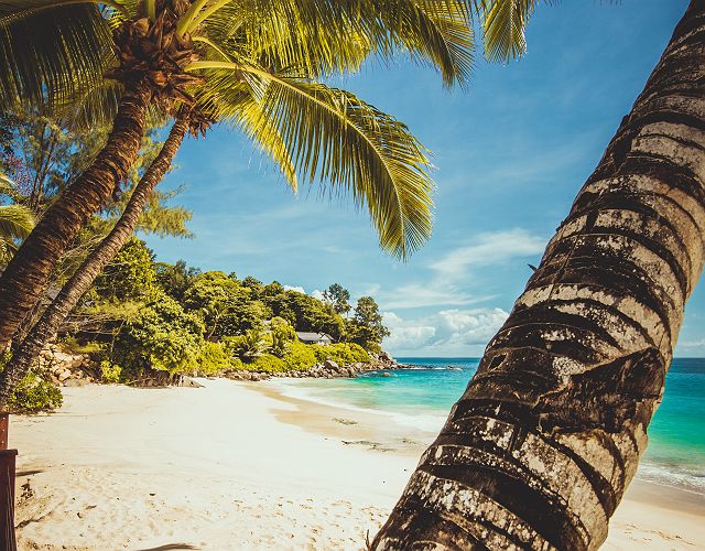 Carana Beach Mahé - plage, nature et expérience 