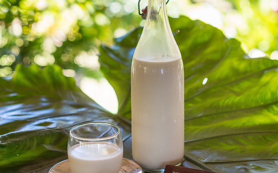 Denis Private Island - Expériences - Seychelles 