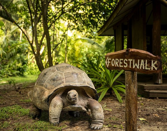 Denis Private Island - Expériences - Seychelles 