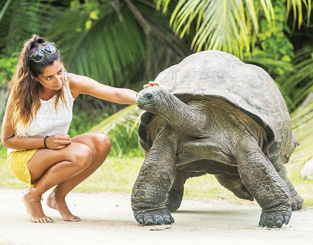 Alphonse Island Resort - Expériences - Seychelles 