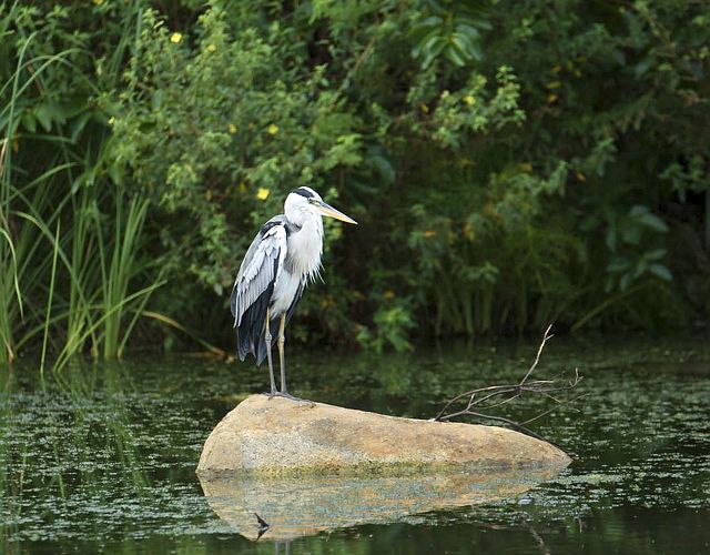 	
Story Seychelles - Expériences Excursions - Seychelles
