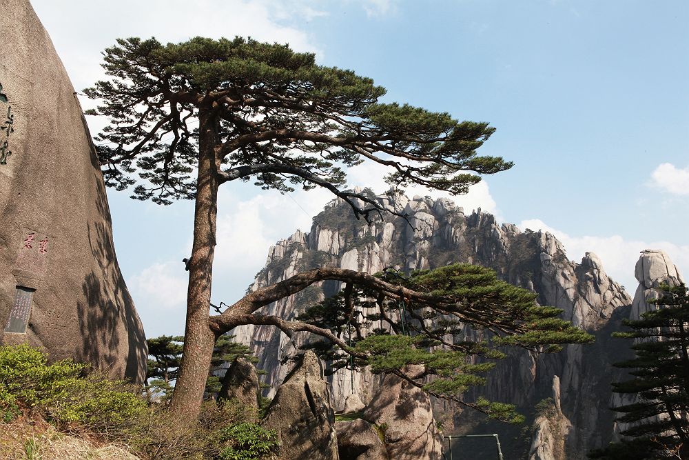 Monts Huang - Chine