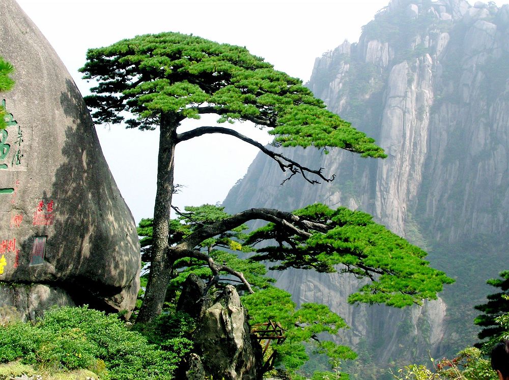  La ville de Huangshan dans le sud de la province d'Anhui en Chine