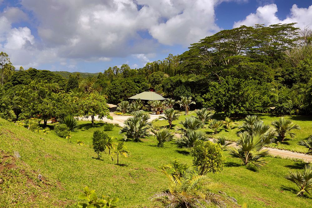 Lakaz Chamarel - Diapo jardin luxuriant - île Maurice