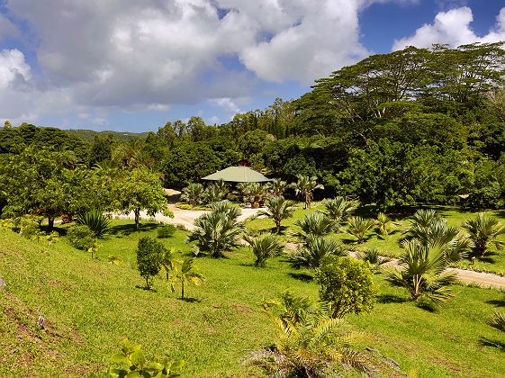 Lakaz Chamarel - Diapo jardin luxuriant - île Maurice