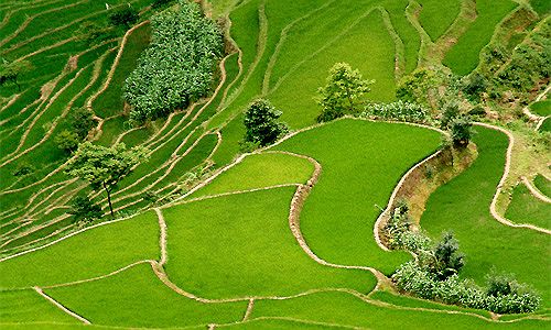 Minorités du Yunnan