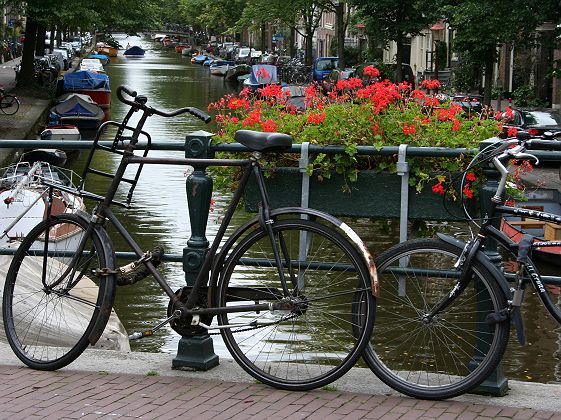 Vélos et fleurs à Amsterdam - Pays Bas (Hollande)