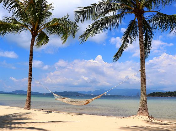 Hamac entre deux palmiers sur l'ile Gaya - Bornéo
