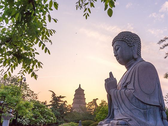 Sculptures en pierre dans le parc des vestiges du temple Ci'en de la dynastie Tang à Xi'an - Chine