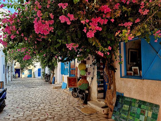 Ruelle de Djerba la Douce