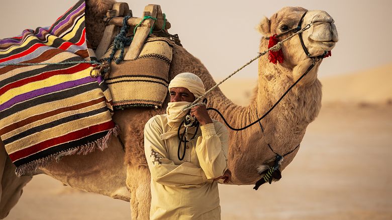 Excursion dans le désert - Anantara Tozeur
