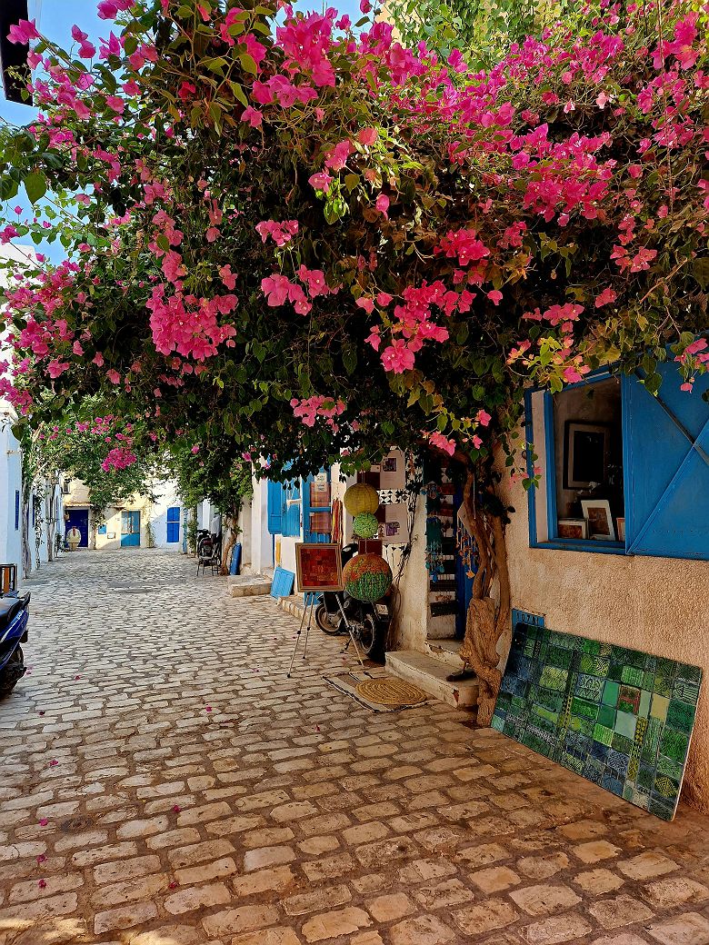 Ruelle de Djerba la Douce