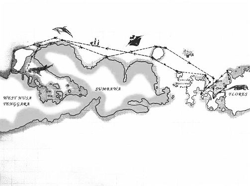 Carte Archipels Indonesiens