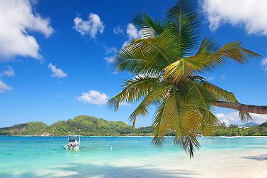 Plage tropicale à la Baie Lazare sur l'Ile de Mahé aux Seychelles