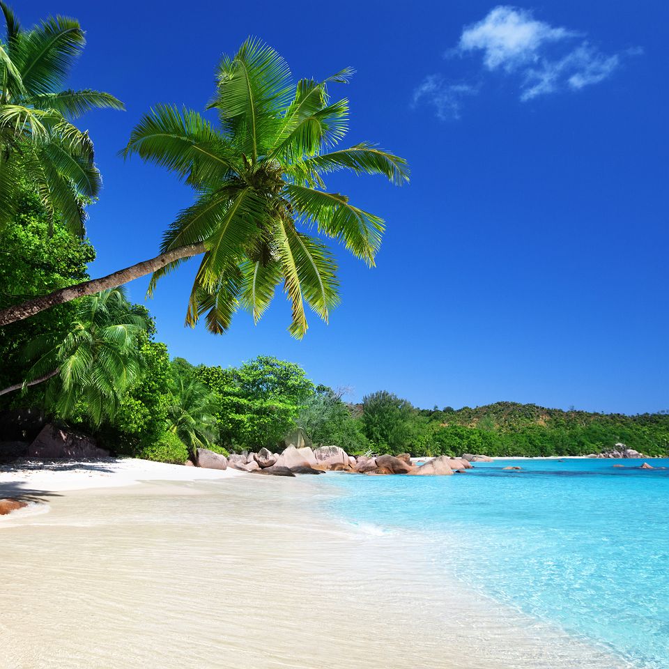 Océan Indien - Balade aux Seychelles - Vue sur la plage Anse Lazio - Île Praslin