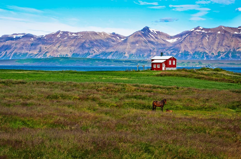 Paysage typique d'Islande avec une maison rouge, un cheval et des montagnes