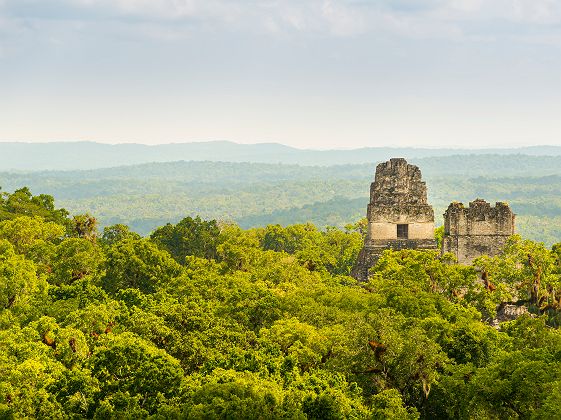 Parc National de Tikal et ses ruines Maya - Guatemala