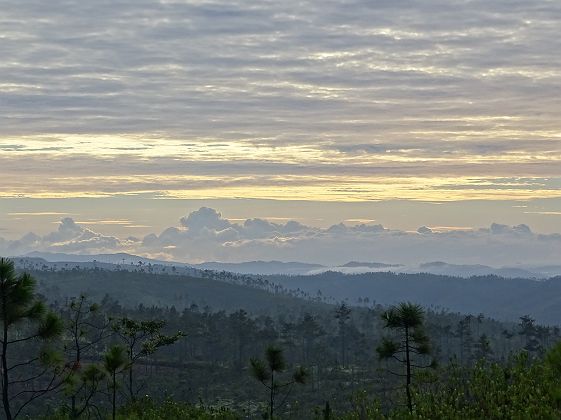 Mountain Pine Ridge - Belize