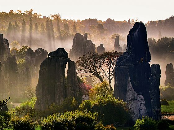 Forêt de Pierre Shilin - Yunnan - Chine