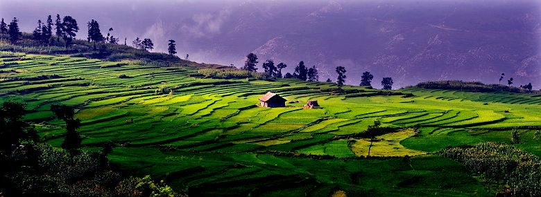 RIzières en terrasse de Jiabang - Chine
