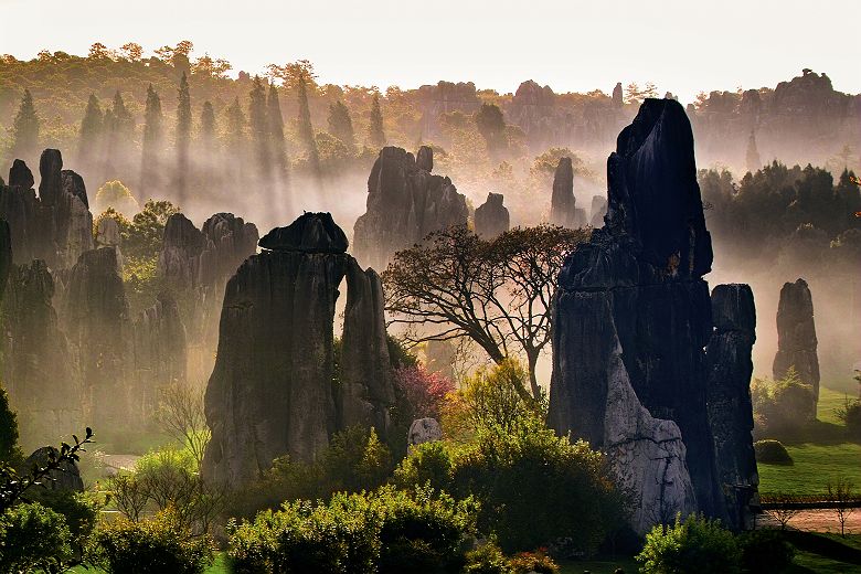Forêt de Pierre Shilin - Yunnan - Chine