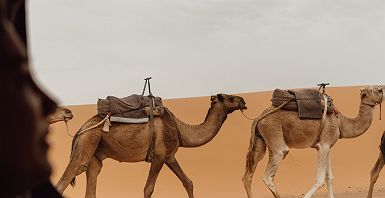 Dunes de Merzouga