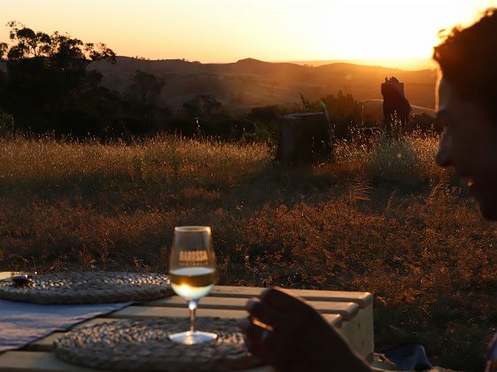 Dégustation de vin dans la région du Cap