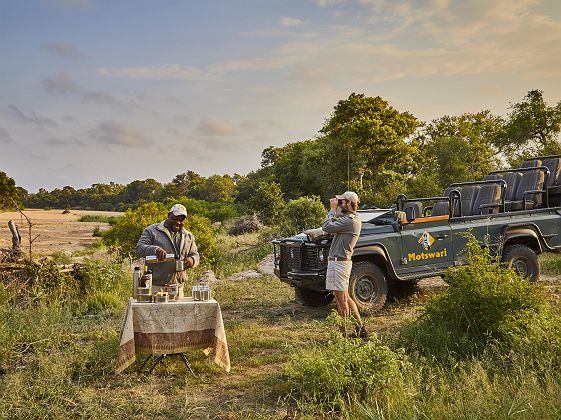 Safari dans Motswari Private Game Reserve