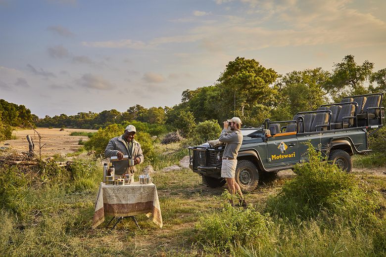 Safari dans Motswari Private Game Reserve