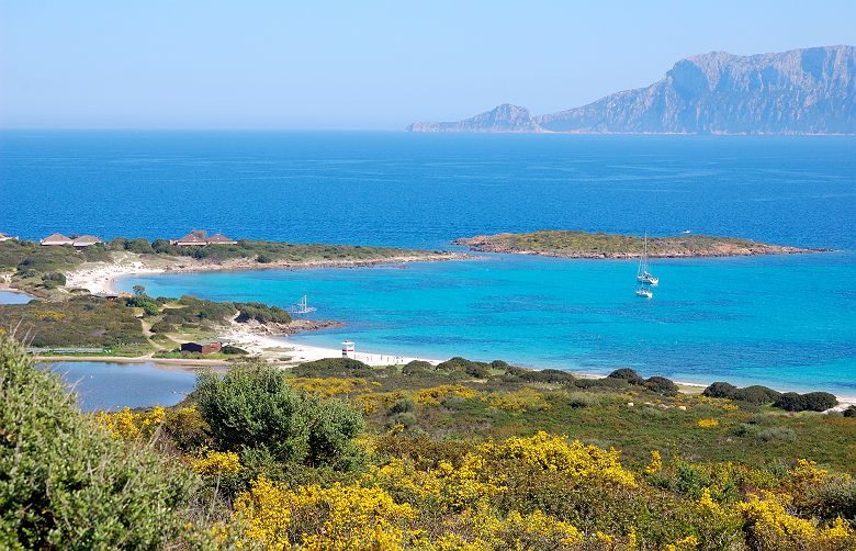 La plage Spiaggia Cala Banana près de Olbia - Italie