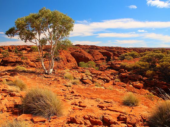 Australie - Falaises et terrain accidenté au Kings Canyon