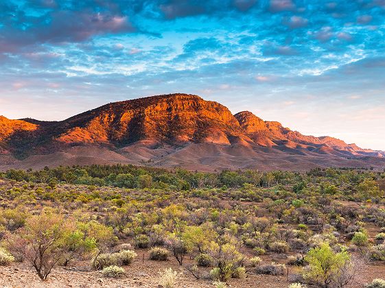 Mount Chambers, Flinders Ranges - Mark McLeod
