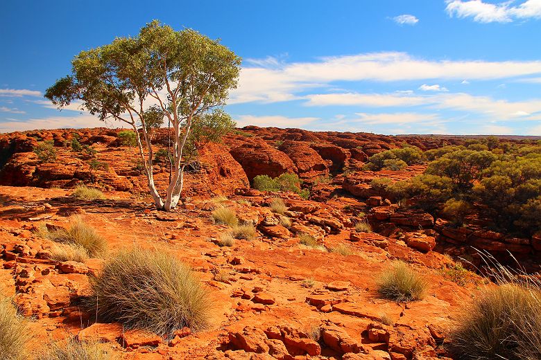 Australie - Falaises et terrain accidenté au Kings Canyon