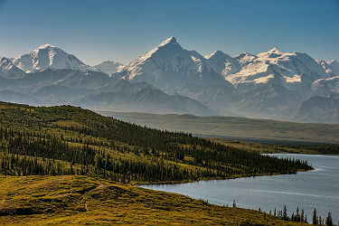 Alaska - Parc National Denali