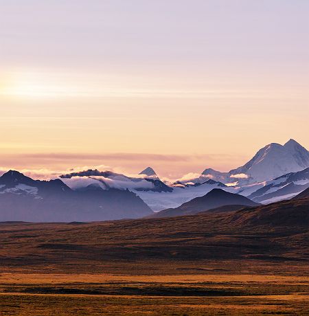 Alaska - Parc National Denali