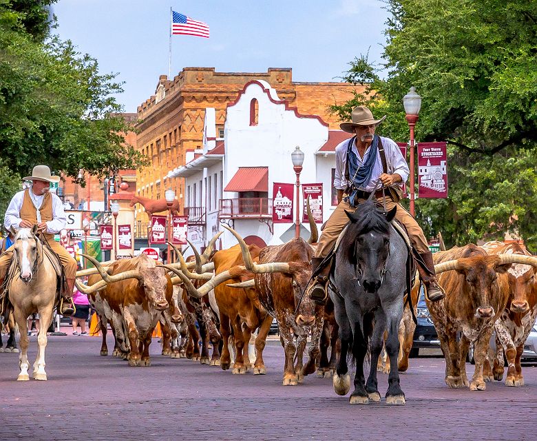 @Travel Texas défilé de Longhorns et cavalier