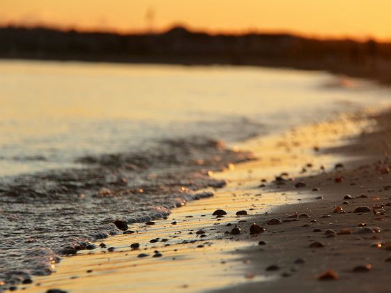 Cape Cod plage